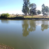 Lazy River Estate, Dubbo