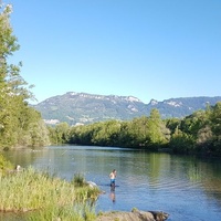 Alter Rhein, Lustenau