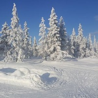 Åmot