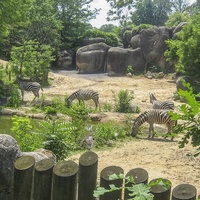 The Maryland Zoo in Baltimore, Baltimora, MD