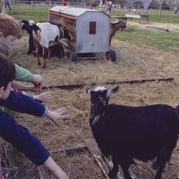 Forty Hall Farm, Enfield