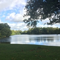 Chetwynd Deer Park, Newport