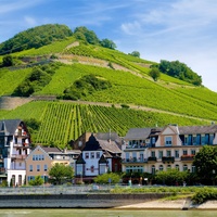 Bingen am Rhein