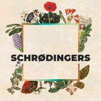 Schrødingers, Amburgo