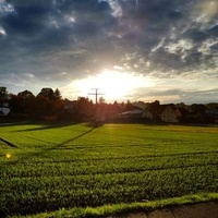 Rieden am Forggensee