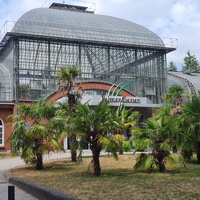 Palmengarten Musikpavillon, Francoforte