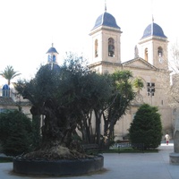 Sant Joan d'Alacant