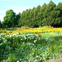 Schloßgarten, Osnabrück