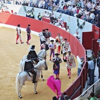 Plaza de toros, Villena