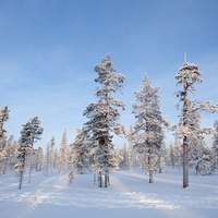 Saariselkä