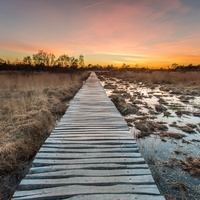 De Groote Peel, Heusden Gem Asten