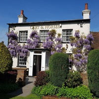 Cart & Horses, Londra