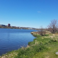 Quidi Vidi Lake Dog Park, Saint John's