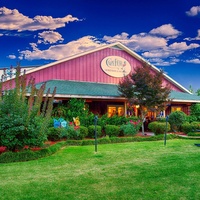 Cape Fear Vineyard and Winery, Elizabethtown, NC