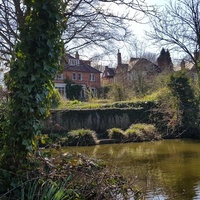 Moseley Park, Birmingham