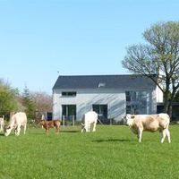 Ballmully Cottage Farm, Derry