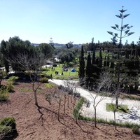 Ta Qali Family picnic area, Ta' Qali