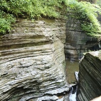 Watkins Glen, NY