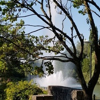 Park in Grünen, Basilea