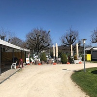 Campingplatz Wiggerspitz, Aarburg