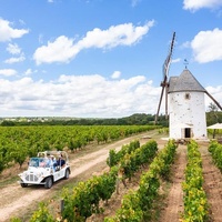 Jour de Fête VGignoble Mourat, Mareuil-sur-Lay-Dissais