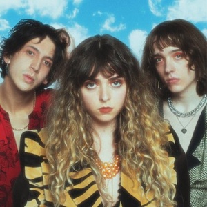 The Velveteers