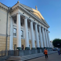 Academic Music and Drama Theatre. N. Sadovsky, Vinnizia