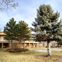 Sunrise Ranch, Loveland, CO