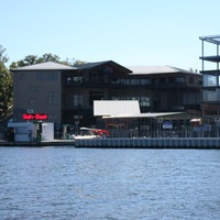 The Horny Toad, Lake Ozark, MO