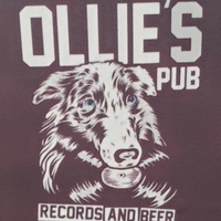 Ollie's Pub Records & Beer, Cape Coral, FL