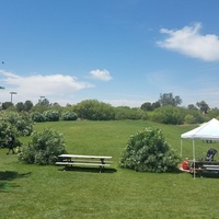 Tempe Meadows, Tempe, AZ