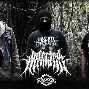 Infected Humans 2025 Concerti di Rock a Infected Humans