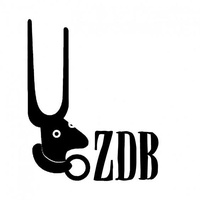 Ze Dos Bois Association, Lisbona