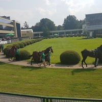 Sluzewiec Racetrack, Varsavia